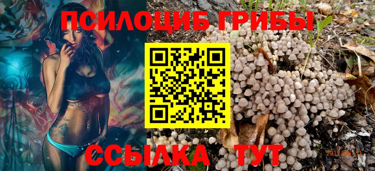 Псилоцибиновые грибы Psilocybe Невинномысск
